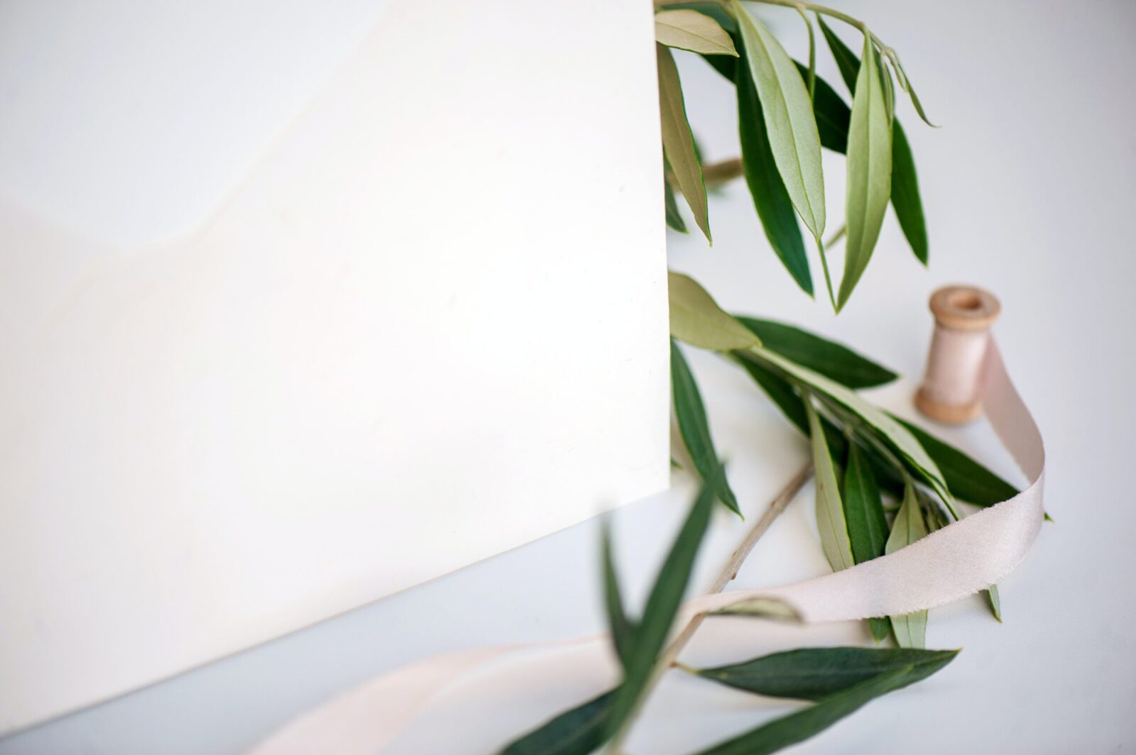 elena-joland-4y3Dqy2tTM4-unsplash elena-joland-4y3Dqy2tTM4-unsplash